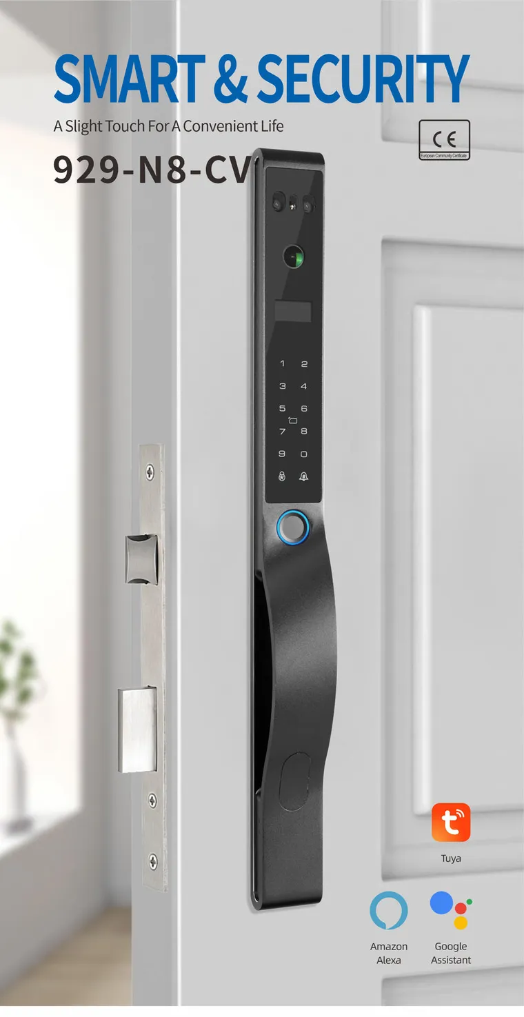 929-N8-CV — detail 1