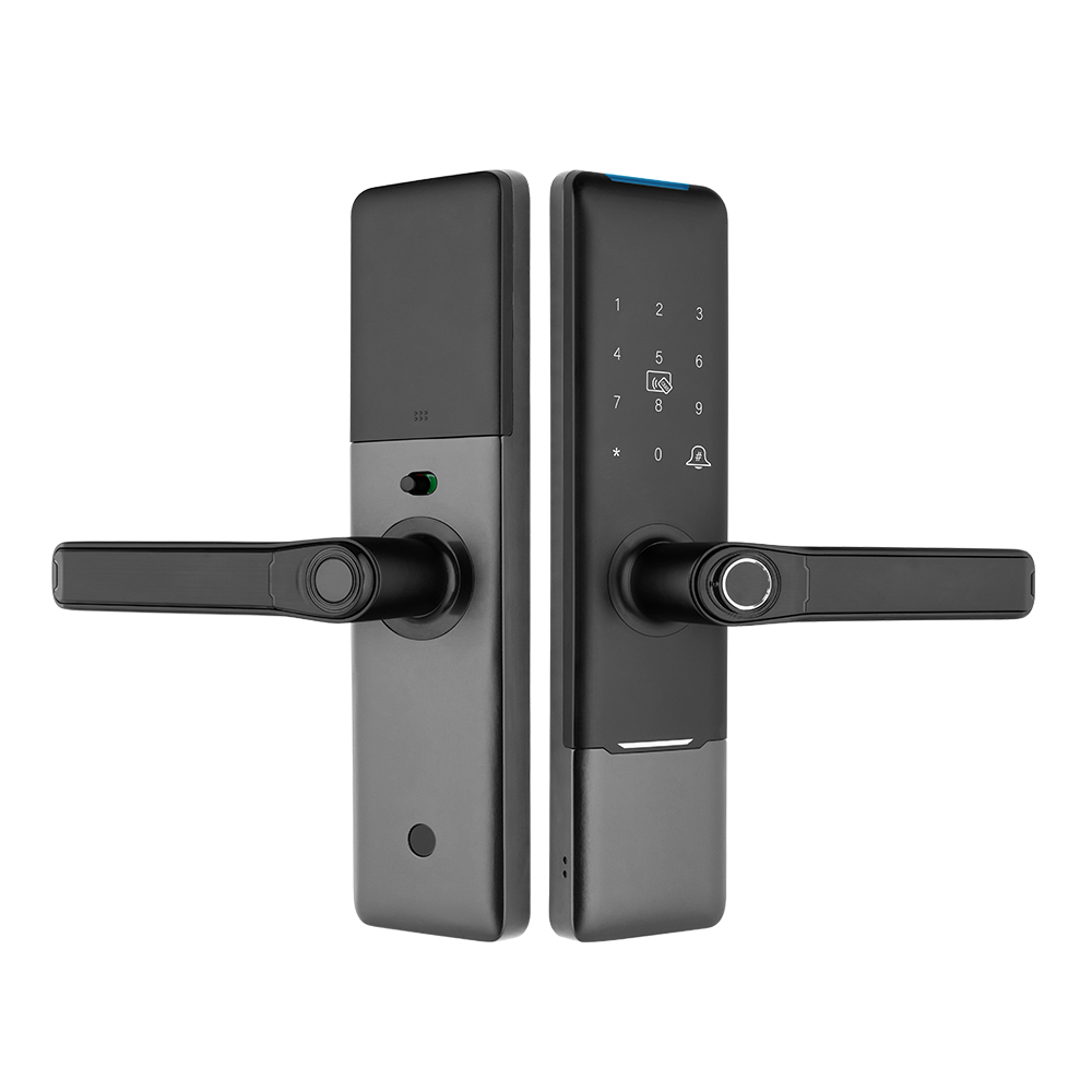 Push-Pull Smart Lock